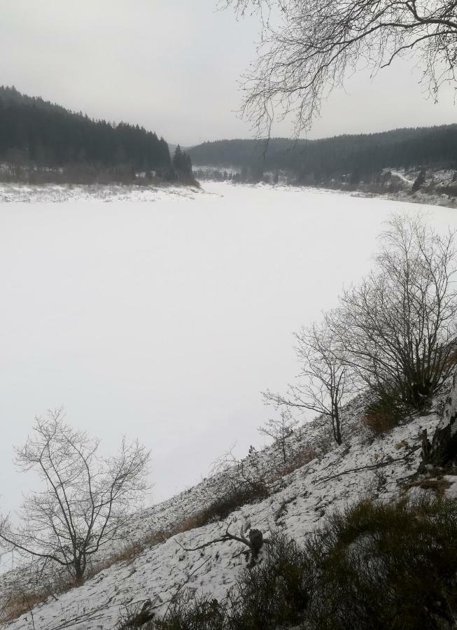 Ferienwohnungen Untermuehle, Rothenbergerstr. 12 อัลเทอเนา ภายนอก รูปภาพ