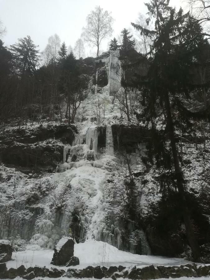 Ferienwohnungen Untermuehle, Rothenbergerstr. 12 อัลเทอเนา ภายนอก รูปภาพ