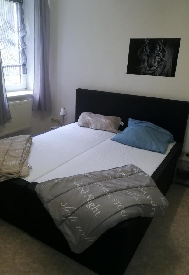 Ferienwohnungen Untermuehle, Rothenbergerstr. 12 อัลเทอเนา ภายนอก รูปภาพ
